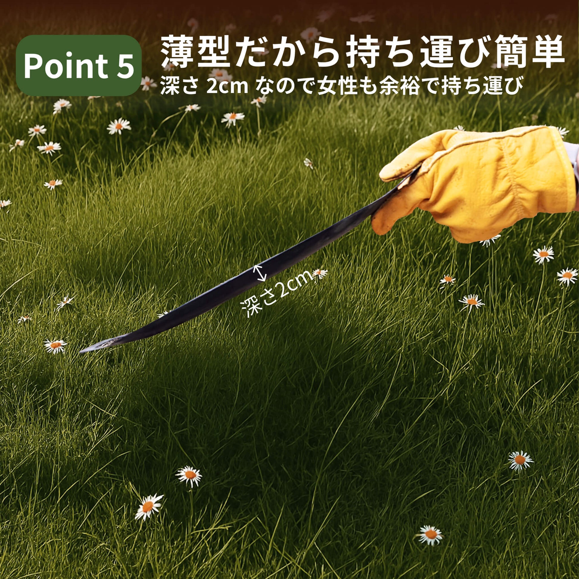 マルチグリドルパン 32cm  ガス/IH/直火対応